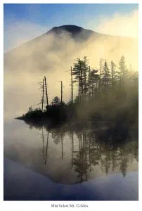The aging process and the '7-year Itch.'  Reflections on senescence from the summit of Mt. Colden